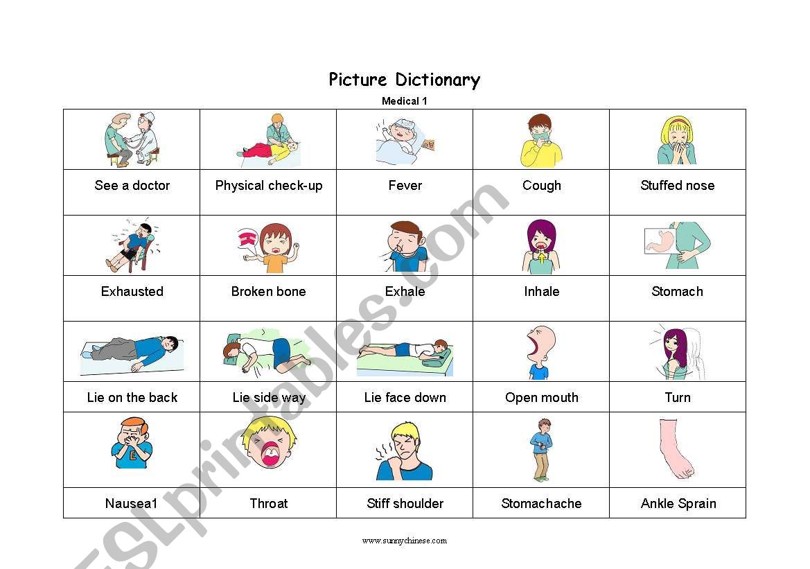 Picture Dictionary   Medical 1 