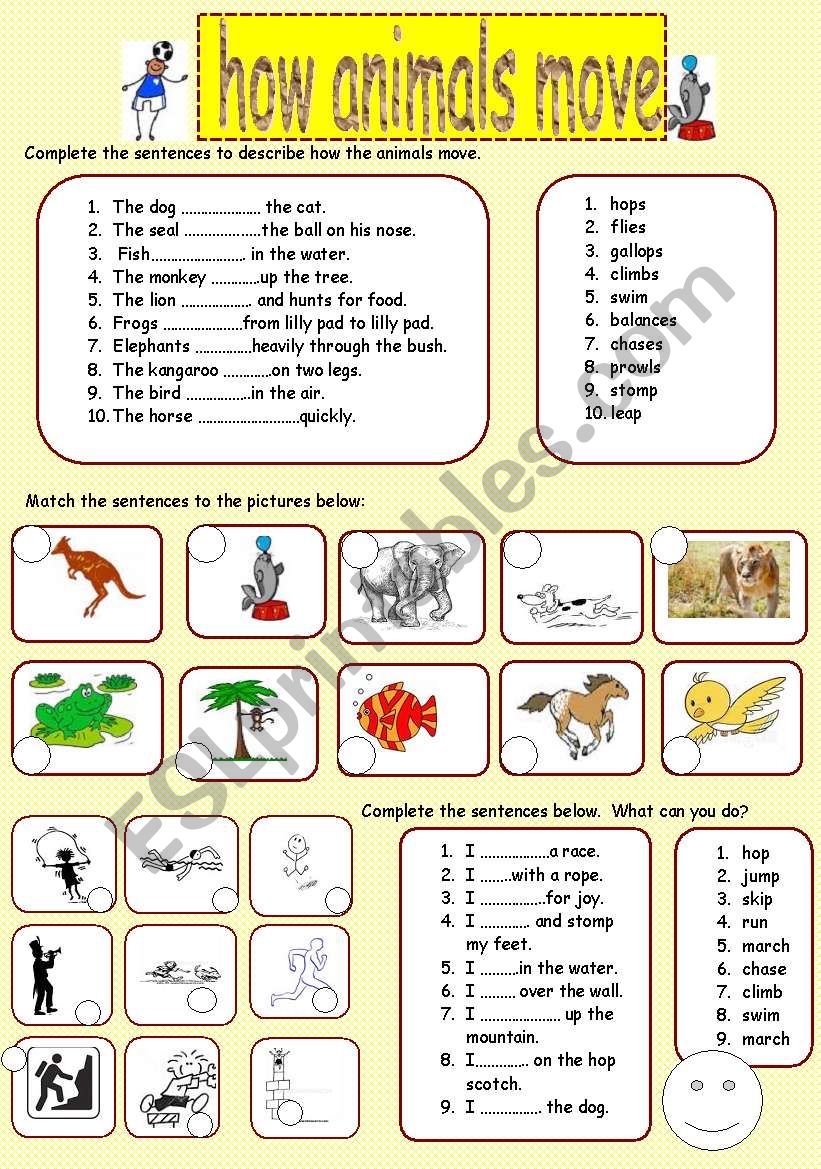 how animals move worksheet