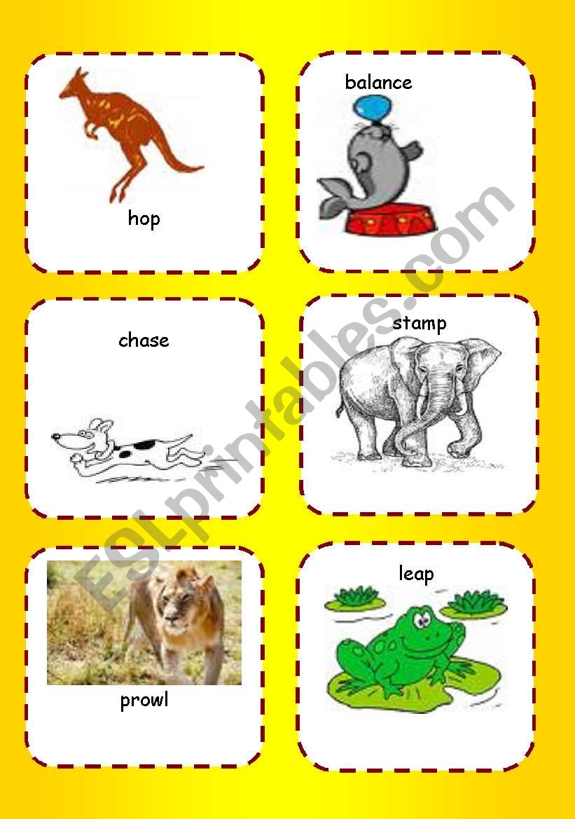 animals in action flash cards and activity