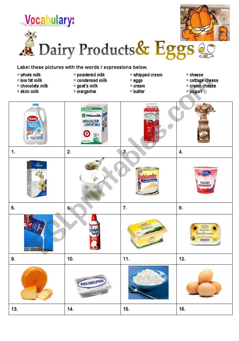 DAIRY PRODUCTS & EGGS worksheet