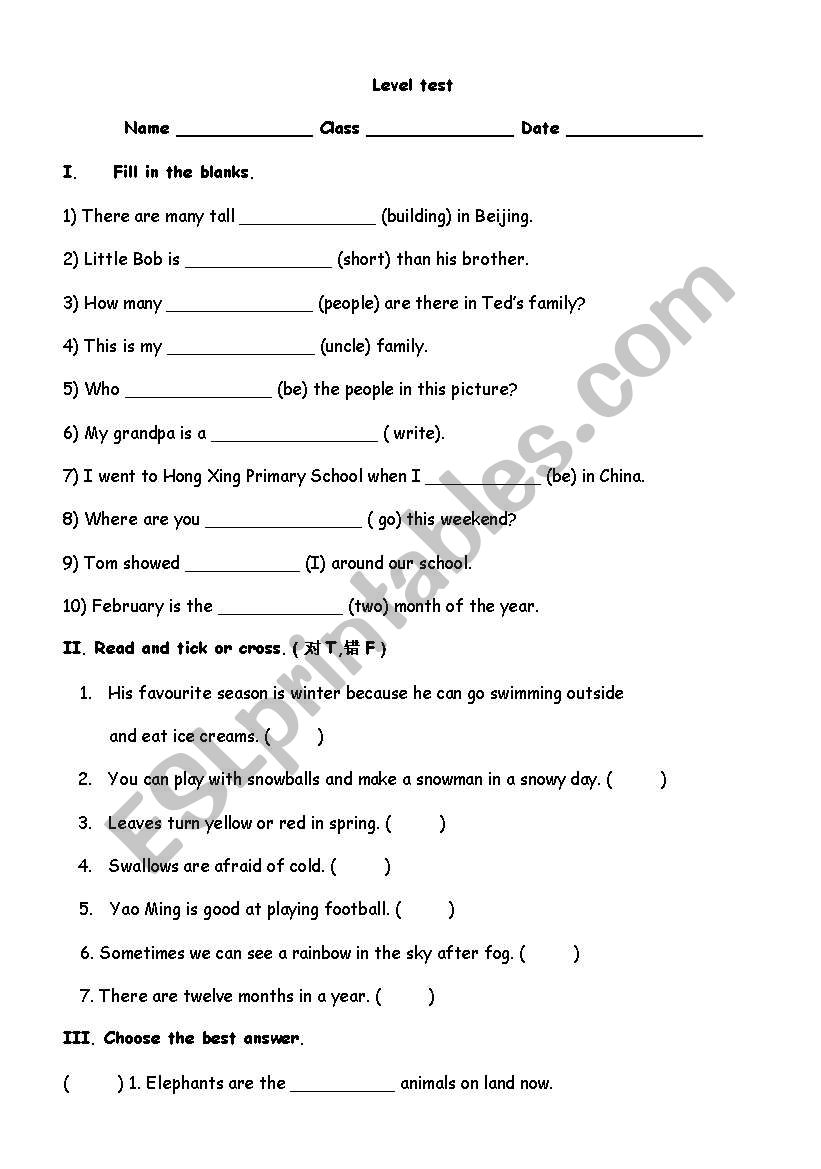 level test worksheet