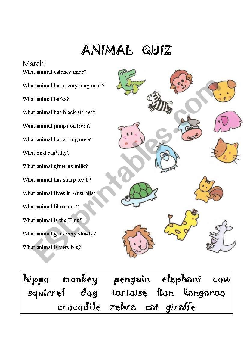 Animal quiz worksheet