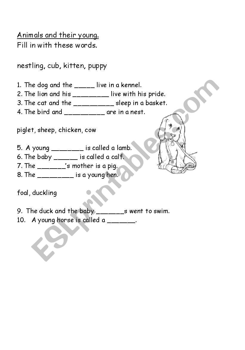 ANIMALS AND THEIR YOUNG worksheet