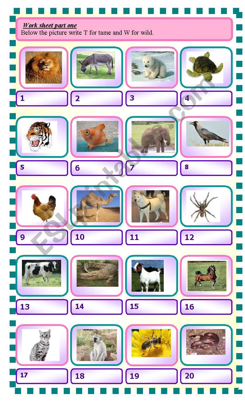 wild and tame animals worksheet