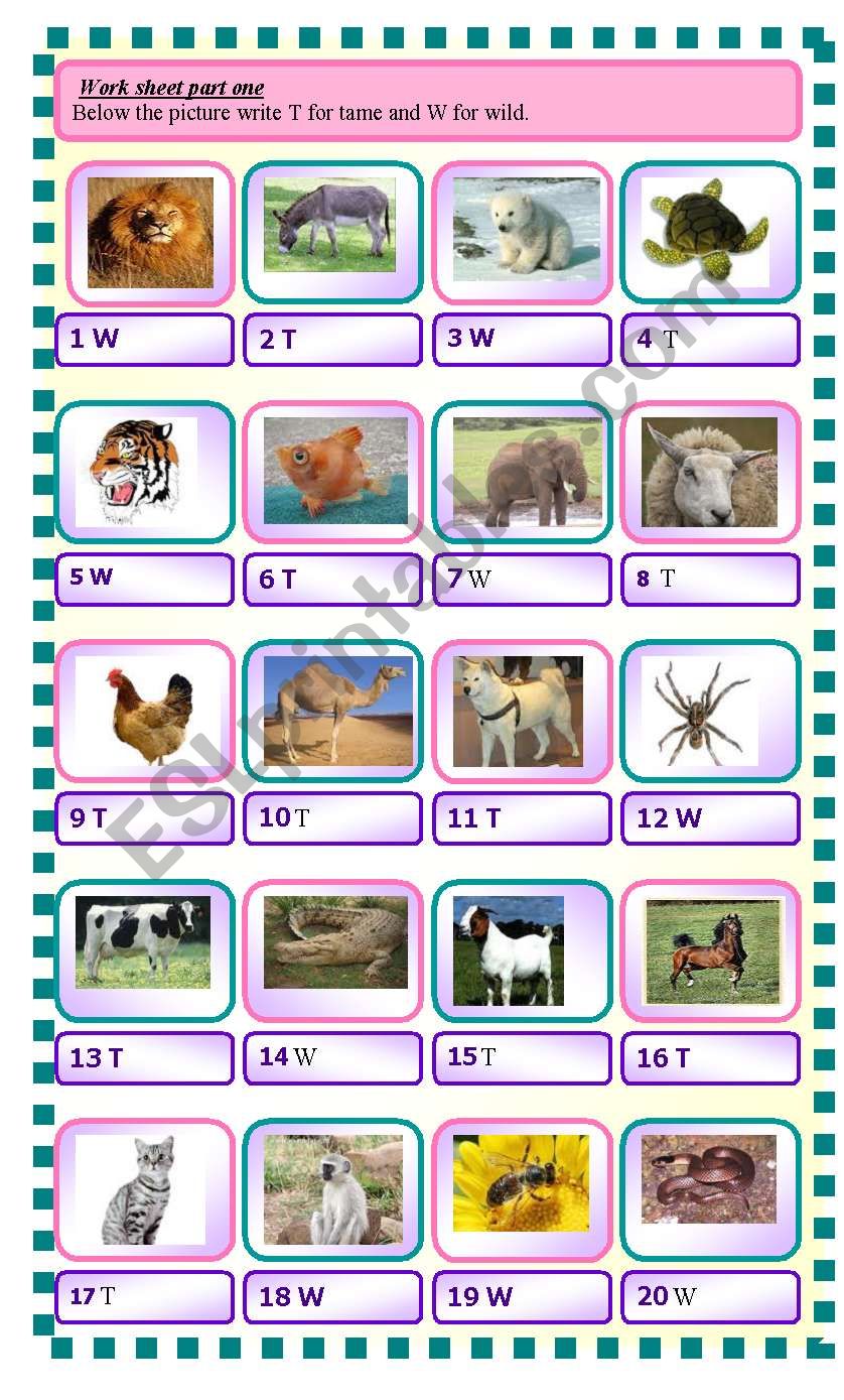 wild and tame animals worksheet