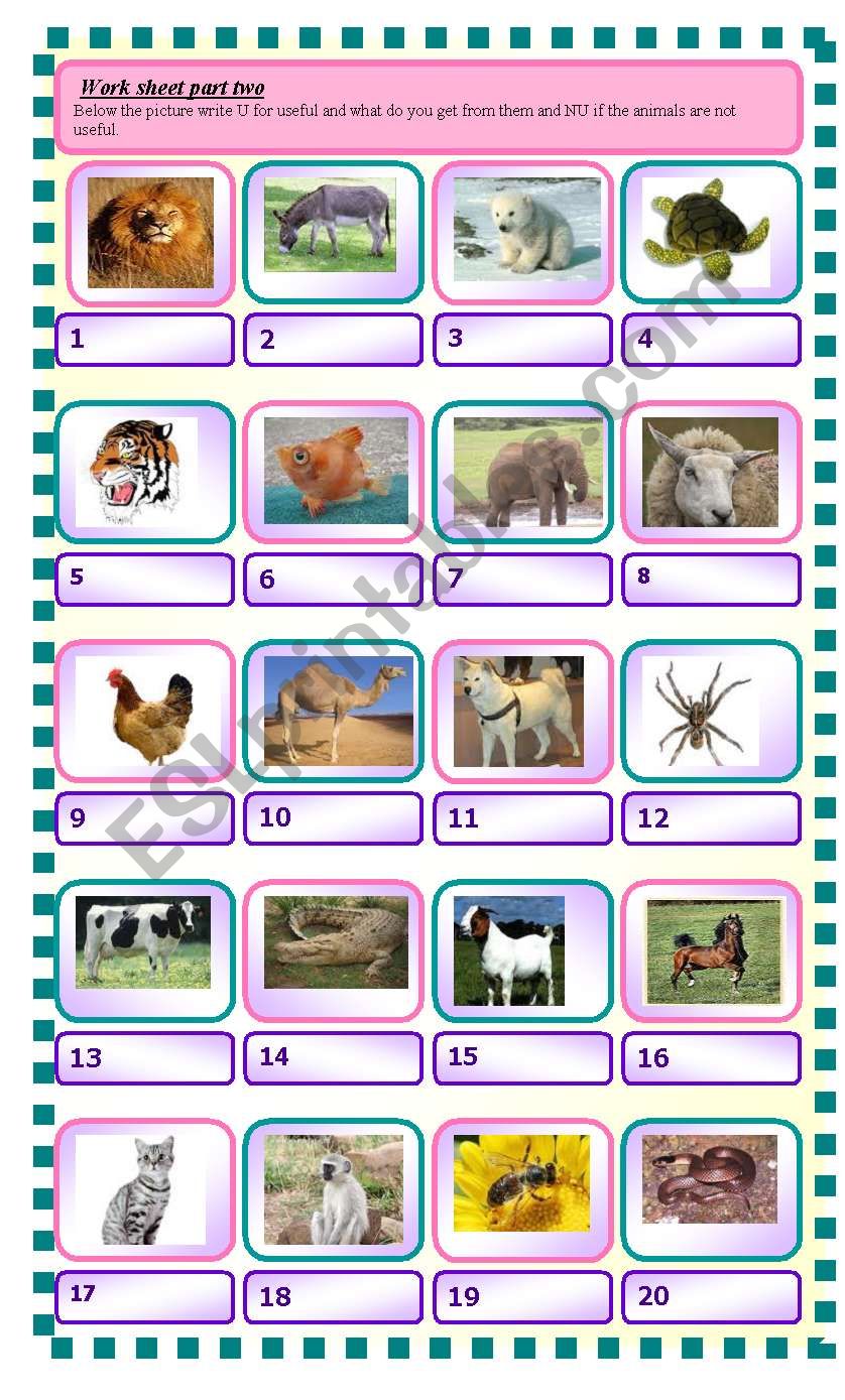 how are animals useful to us worksheet