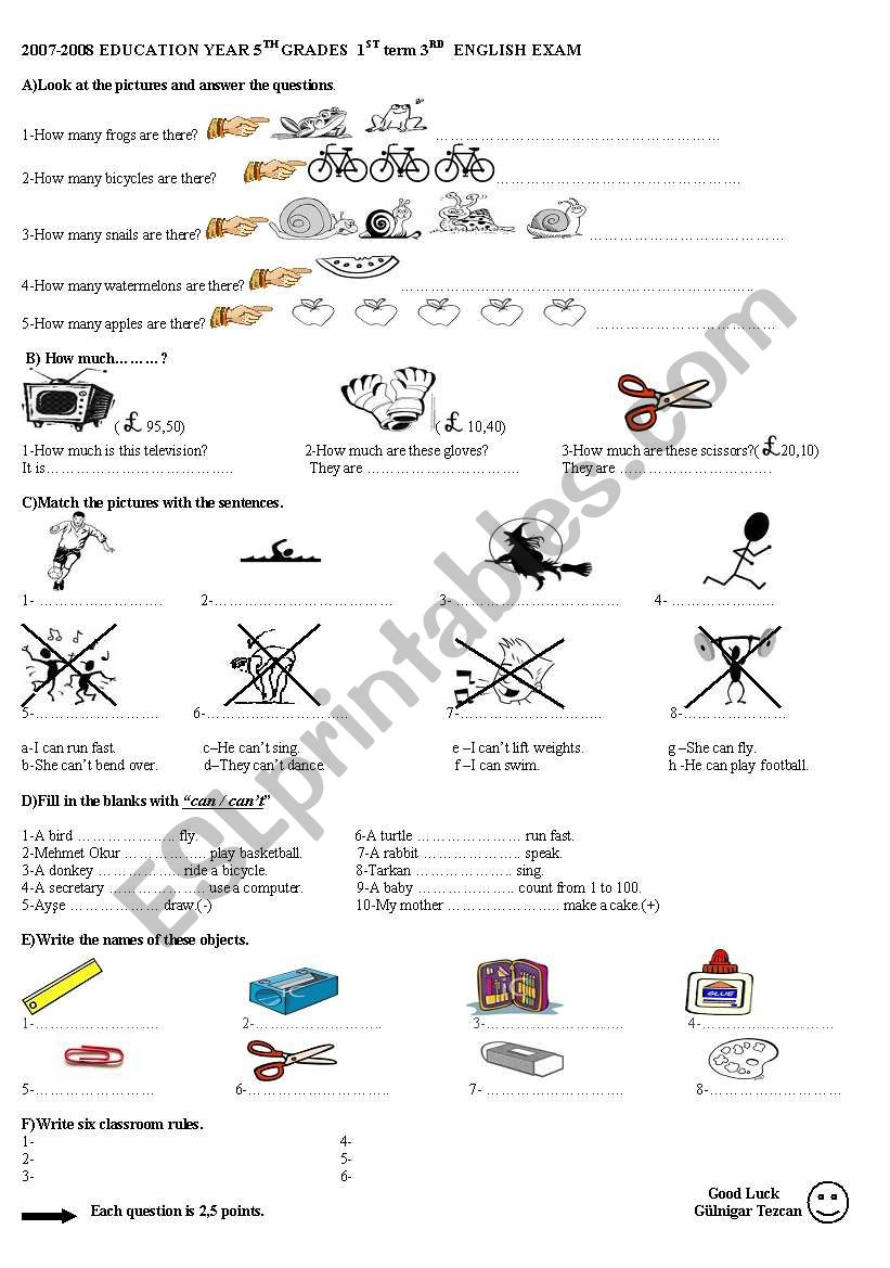 exam for 5th grades worksheet