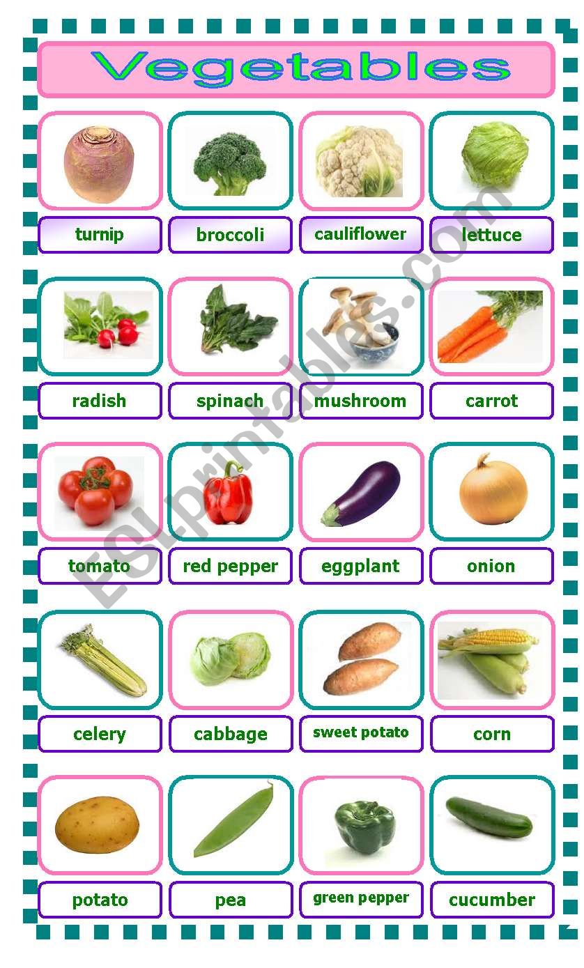 vegetables worksheet