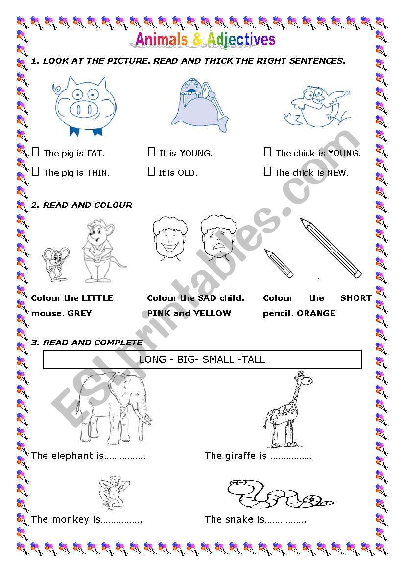 Animals & Adjectives worksheet