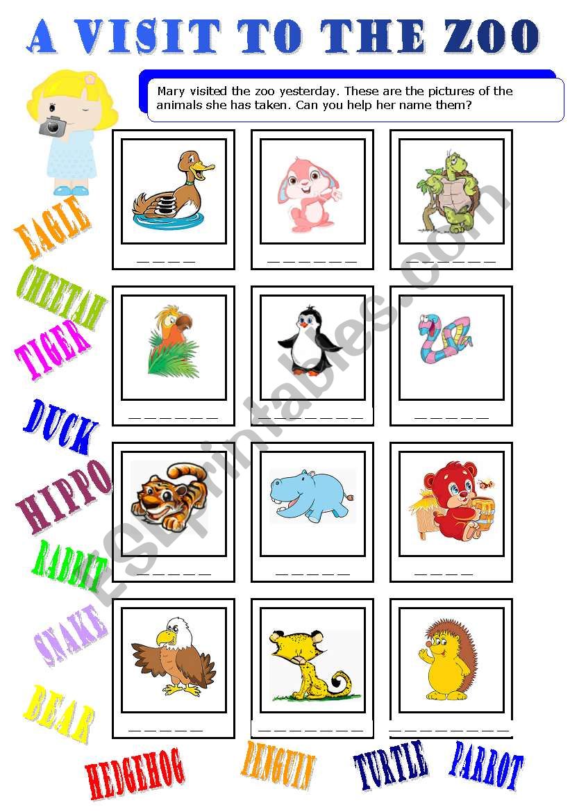 a visit to the zoo 1/2  worksheet