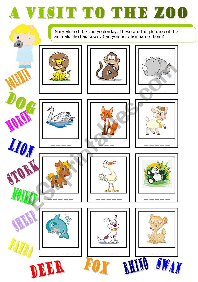 a visit to the zoo 2/2 worksheet