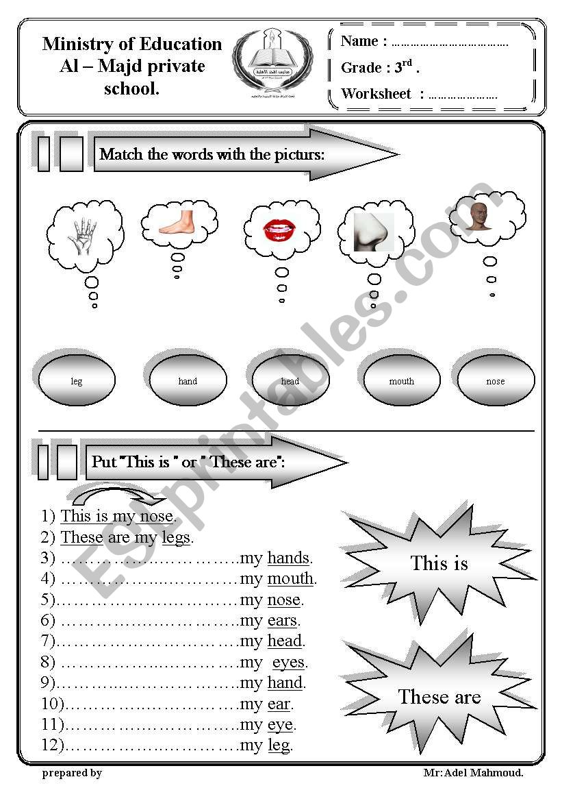 body parts worksheet