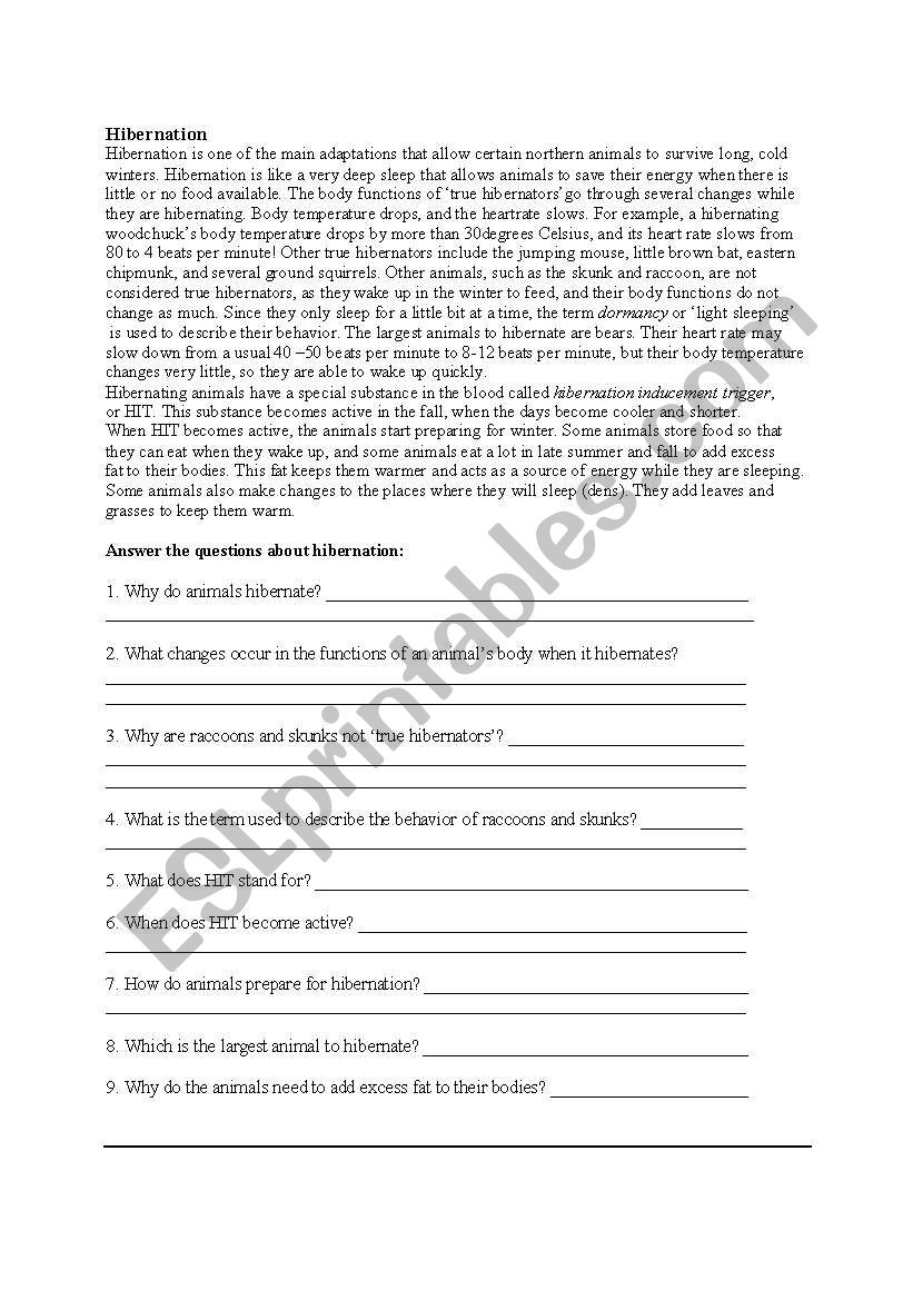 Hibernation worksheet