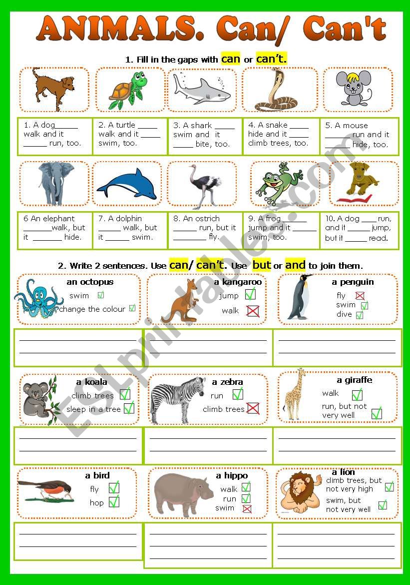 Can/Can´t. (Animals) - fully editable