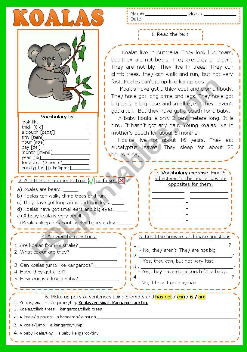 KOALAS. READING , comprehension (fully editable) + KEY