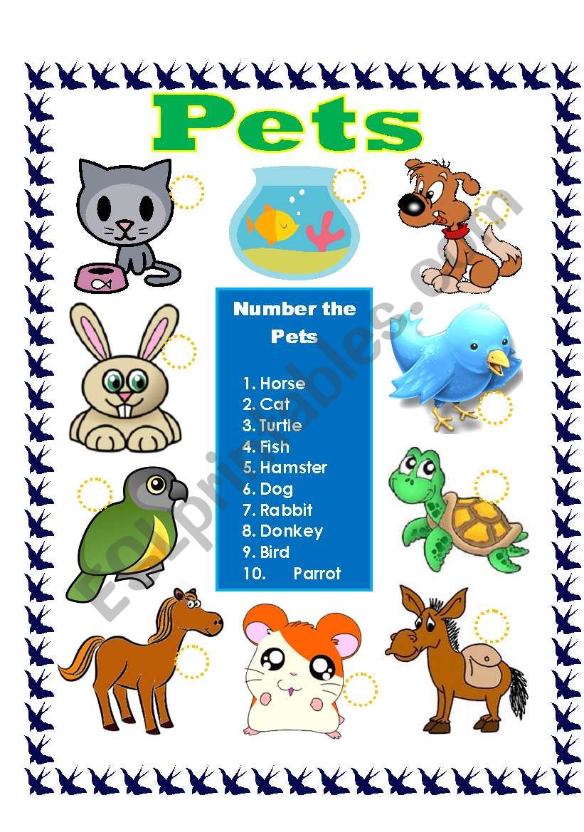 Pets worksheet