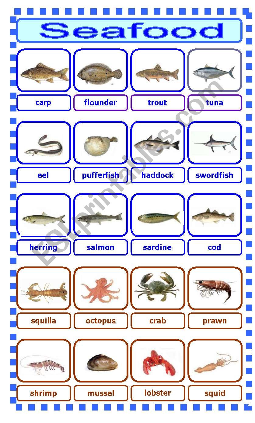 seafood worksheet