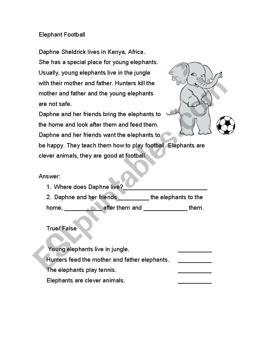 ELEPHANT FOOTBALL worksheet