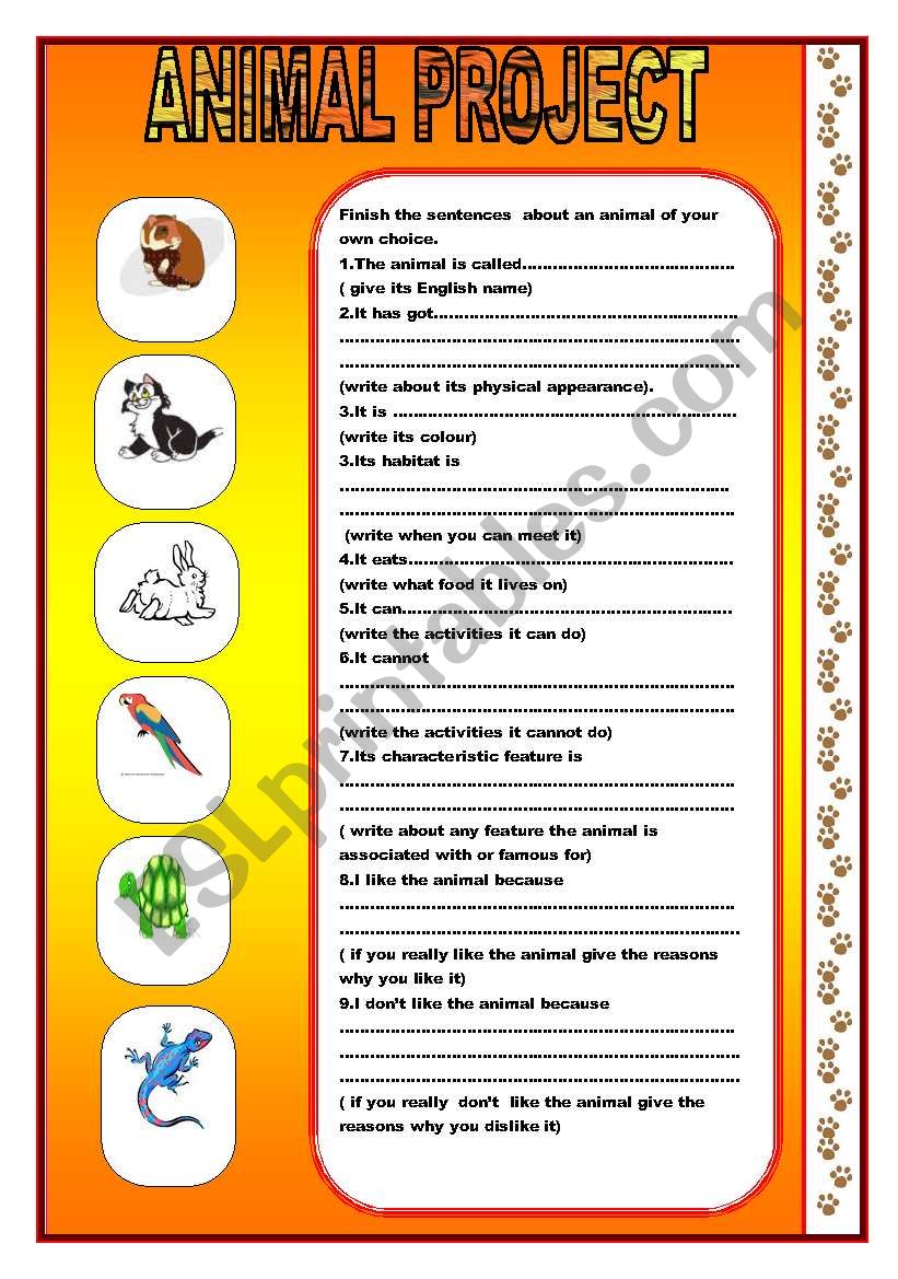 Animal Project ( two pages) worksheet