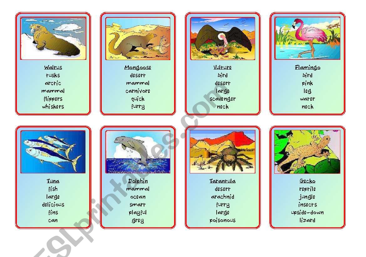 Animal Riddles Pages 6,7,8 worksheet