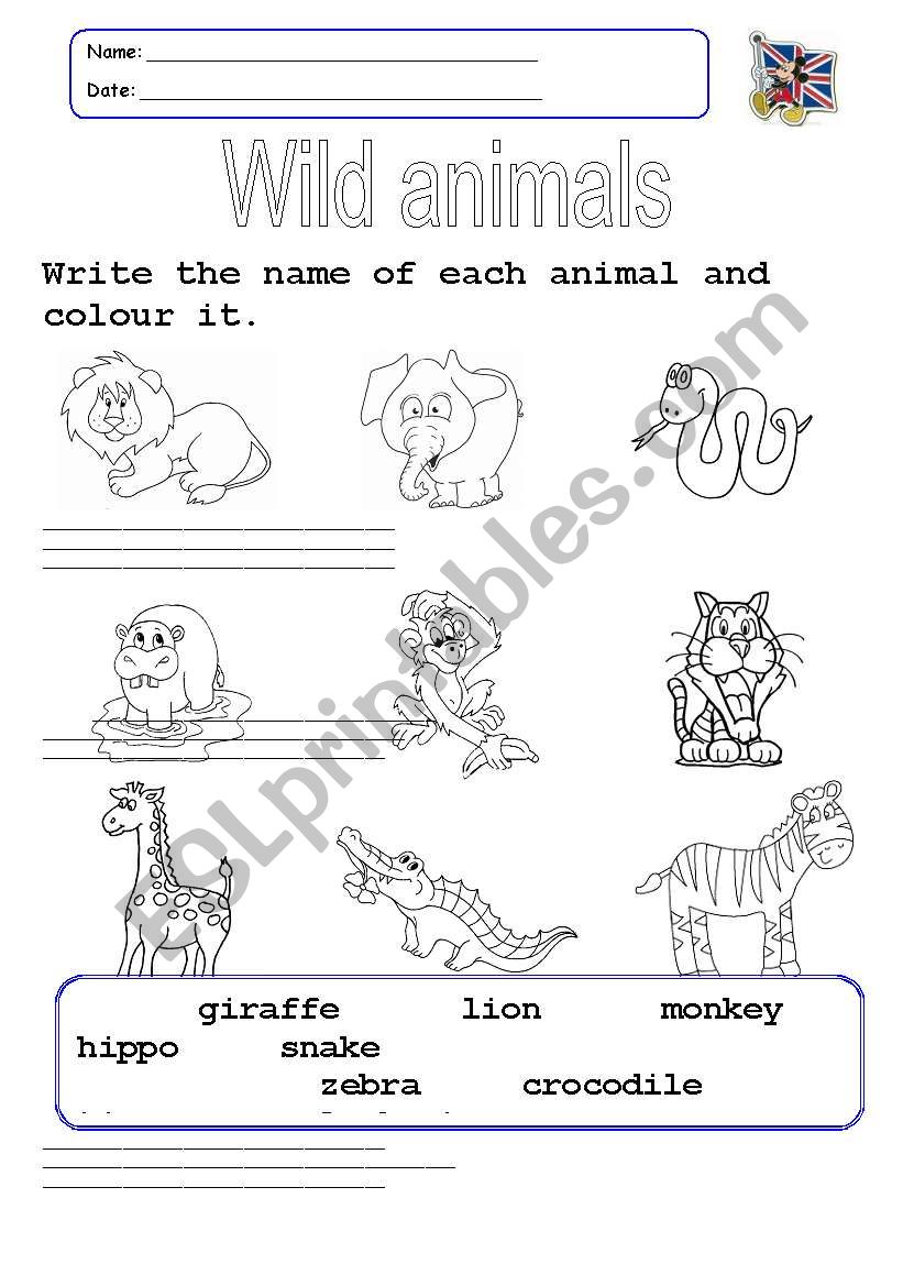 Wild animals worksheet