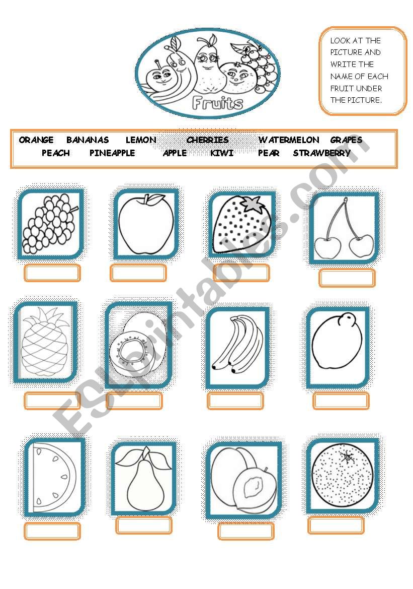 fruits worksheet