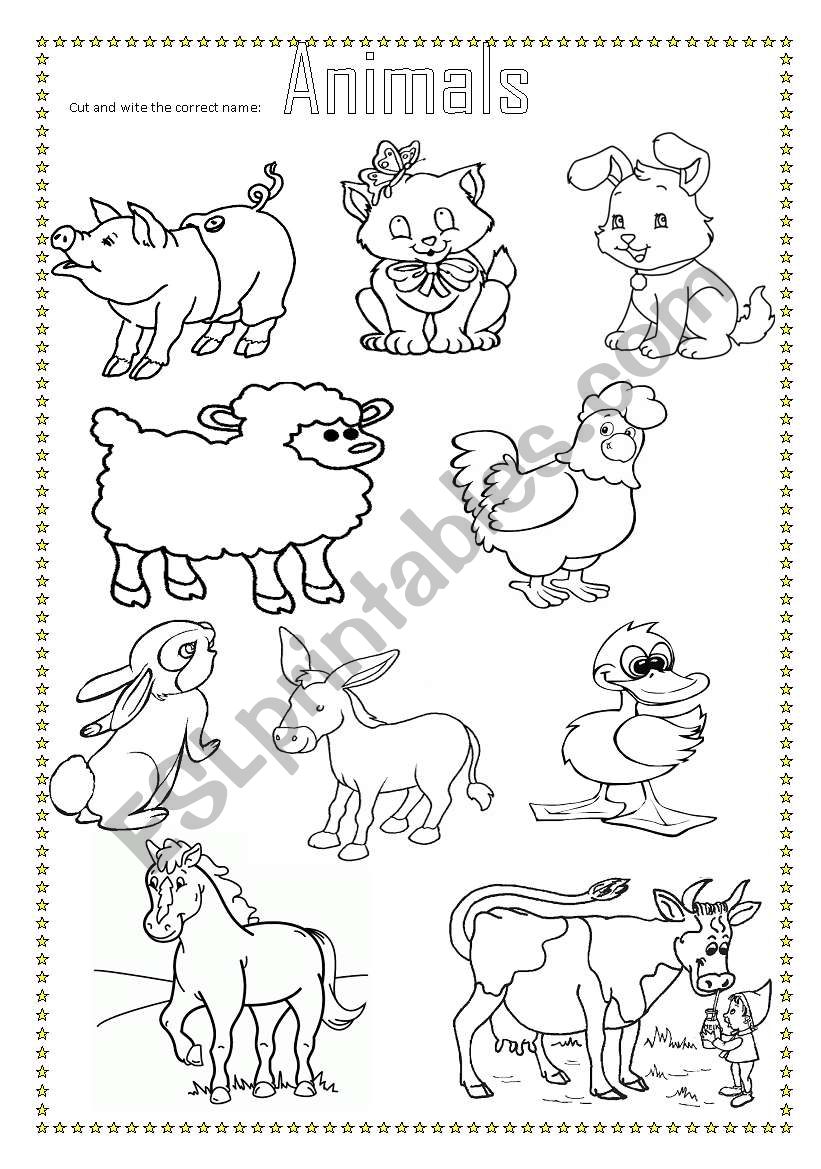 ANIMALS worksheet