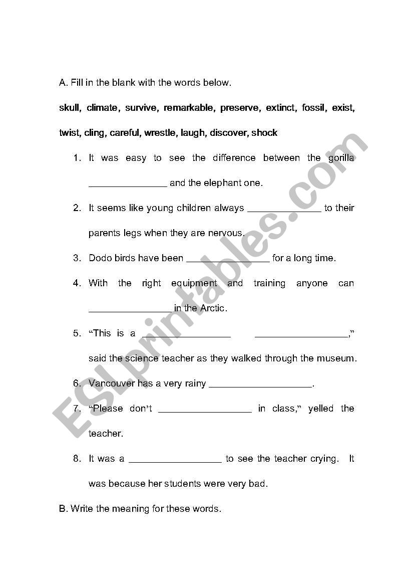 random vocabulary test worksheet