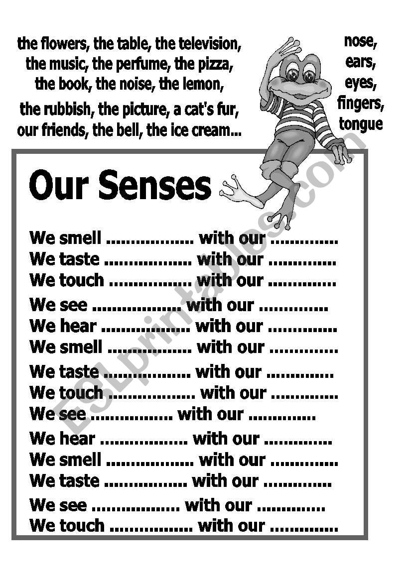 senses worksheet