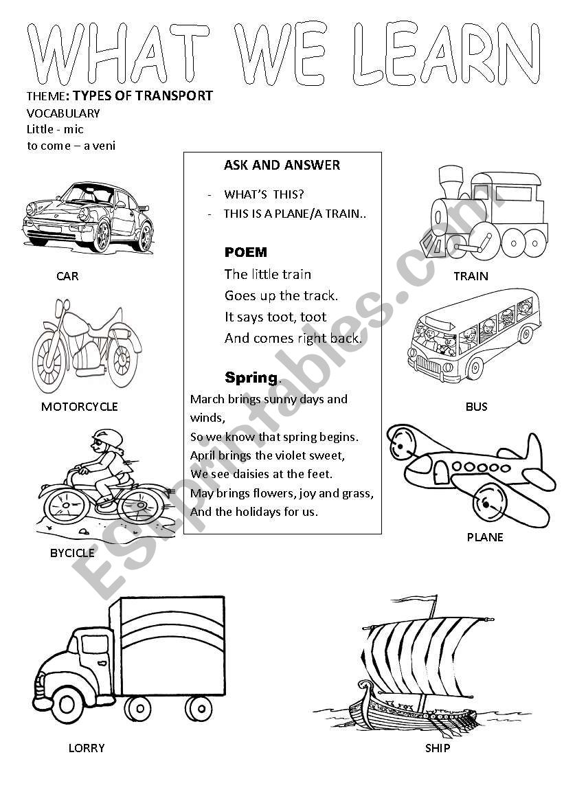 transport worksheet