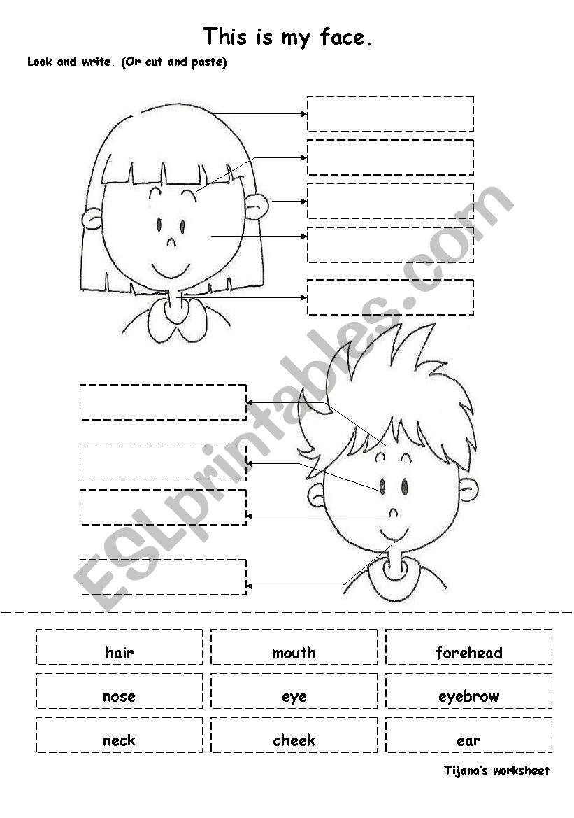 This is my face worksheet