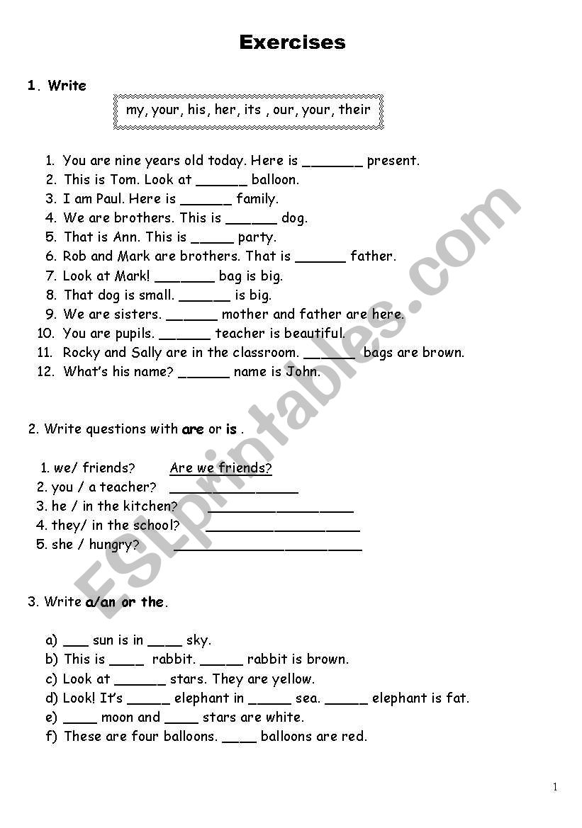 exercises worksheet