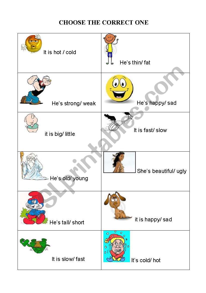 choose the correct one worksheet