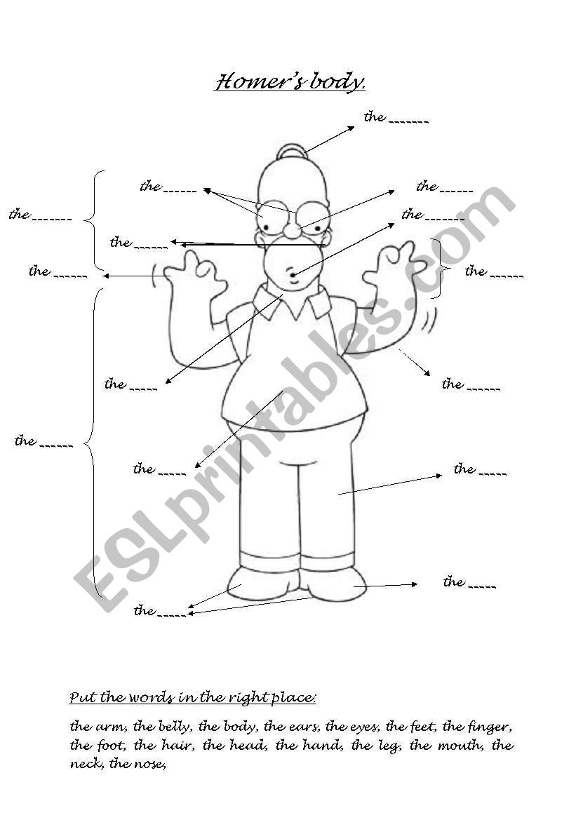 Homers body worksheet