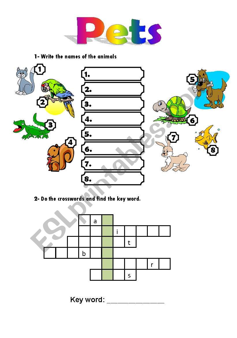 Pets worksheet