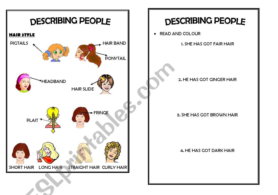 physical description worksheet