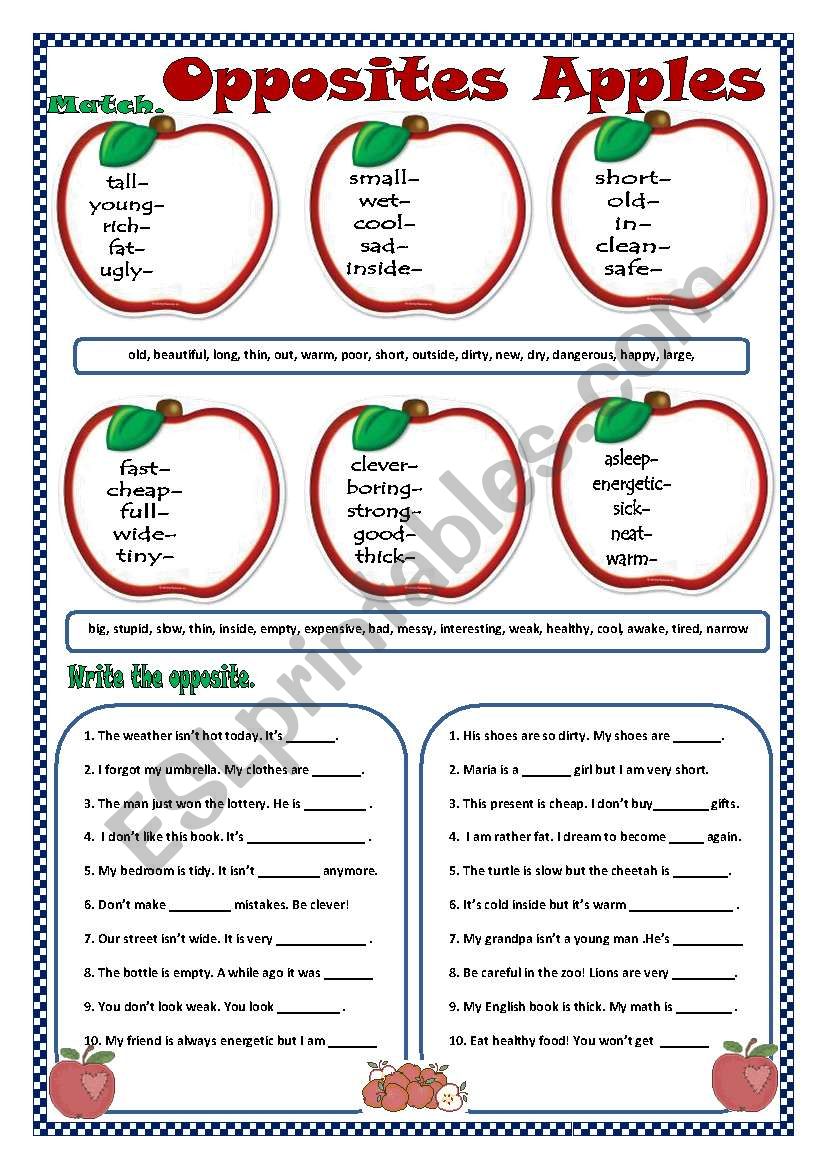 Opposites Apples worksheet