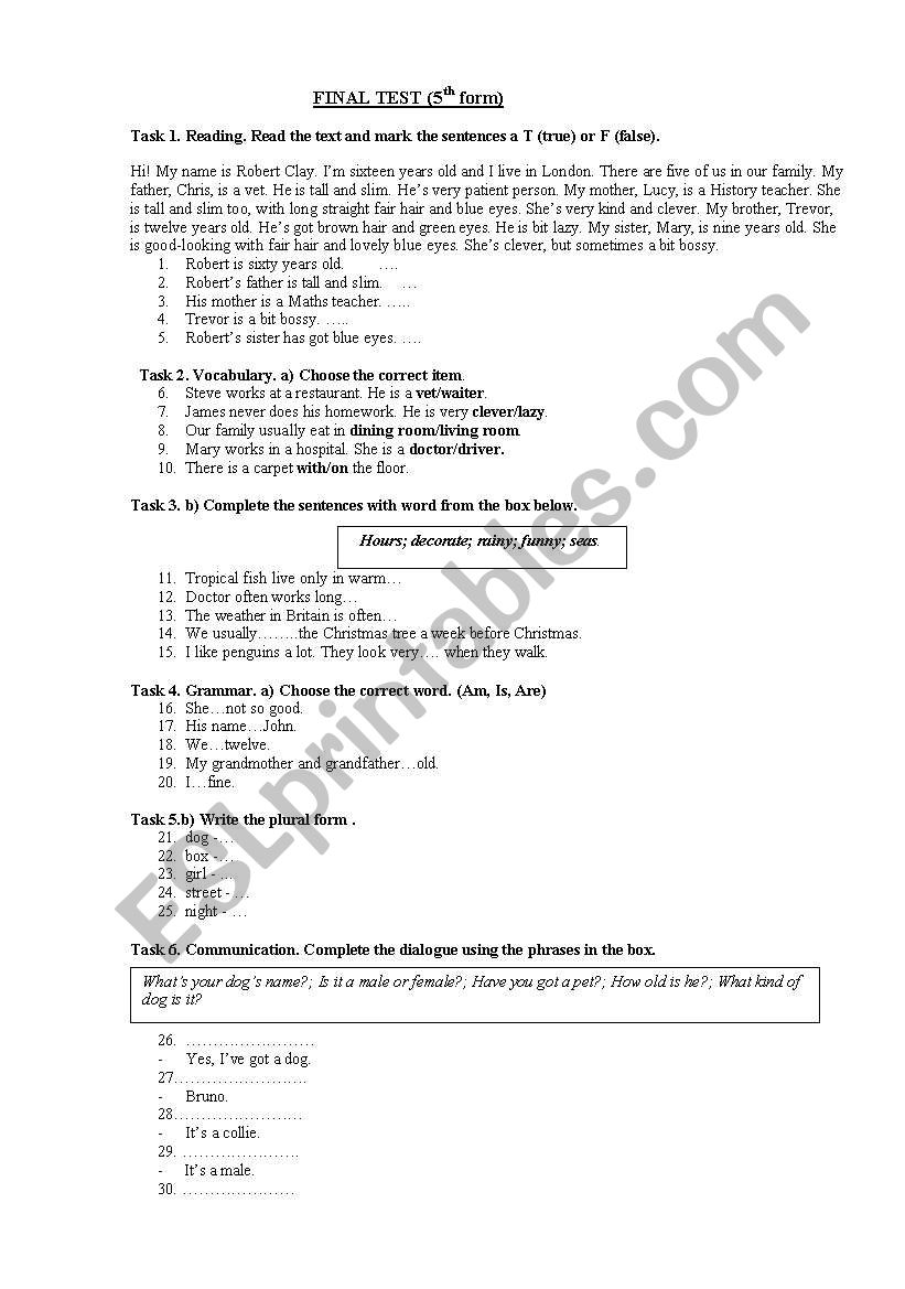 Grammar & Vocabulary test. worksheet