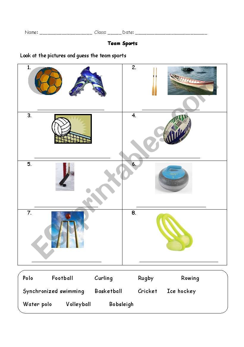 Team sports worksheet