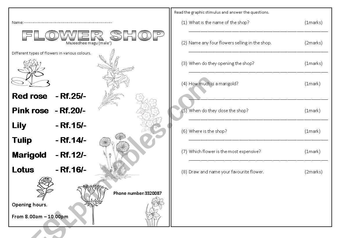 Graphic Stimulus worksheet