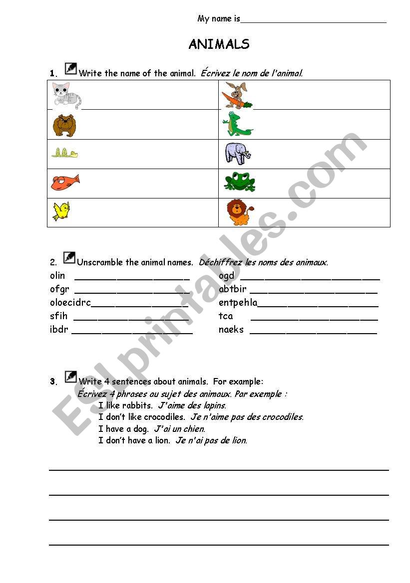 Basic Animals worksheet