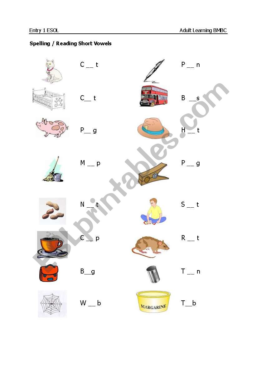 Vowel Sound Spelling Sheet worksheet