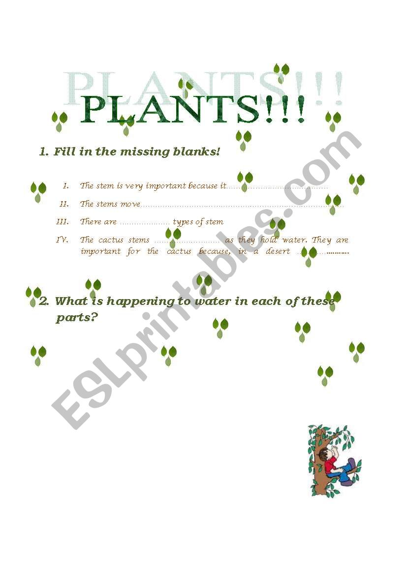 Plants! worksheet