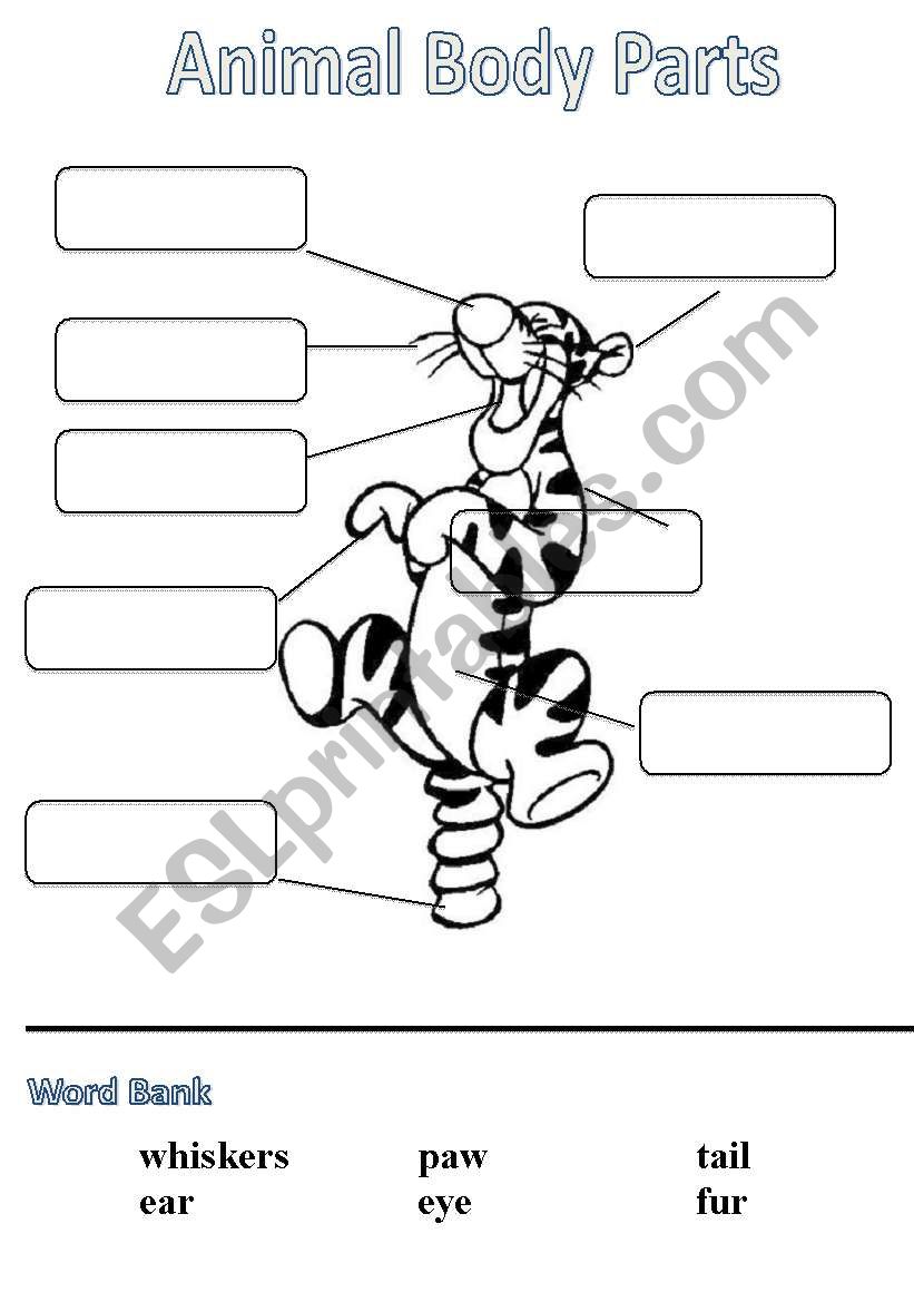 Animal Body Parts - Labels worksheet