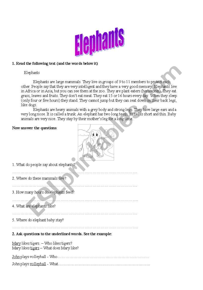 About Elephants worksheet