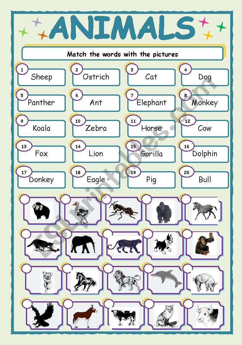 ANIMALS worksheet