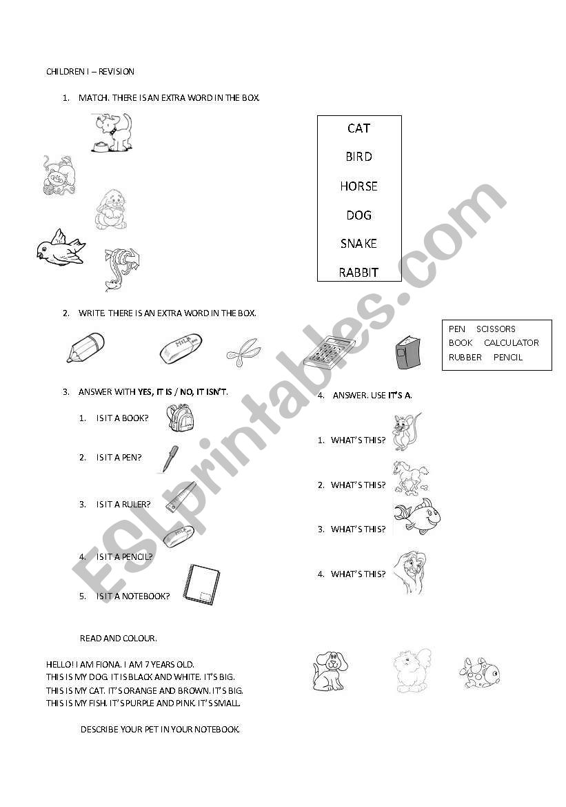 revision colours pets school objects