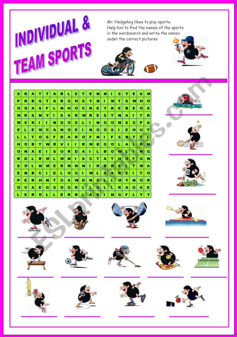 Sport - wordsearch  (Mr. Hedgehog series 2/3) - fully editable