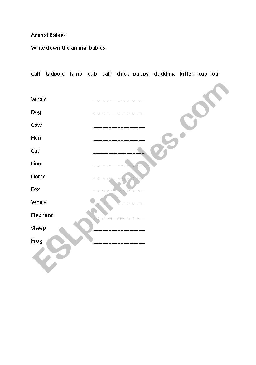 Life Skills  worksheet