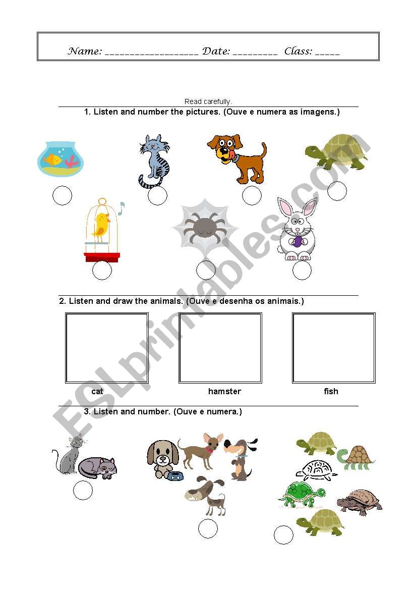 Pets worksheet worksheet